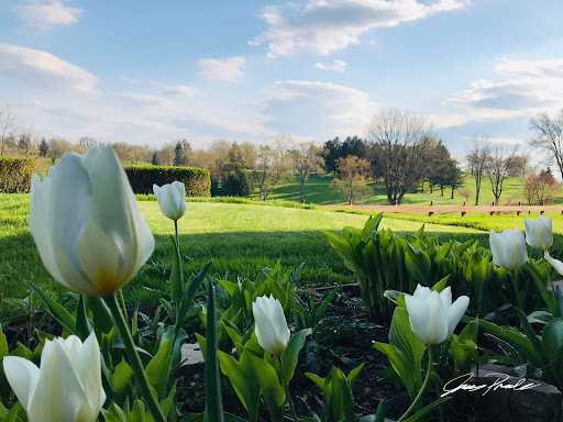 Golf Course «3 Lakes Golf Course», reviews and photos, 6700 Saltsburg Rd, Pittsburgh, PA 15235, USA