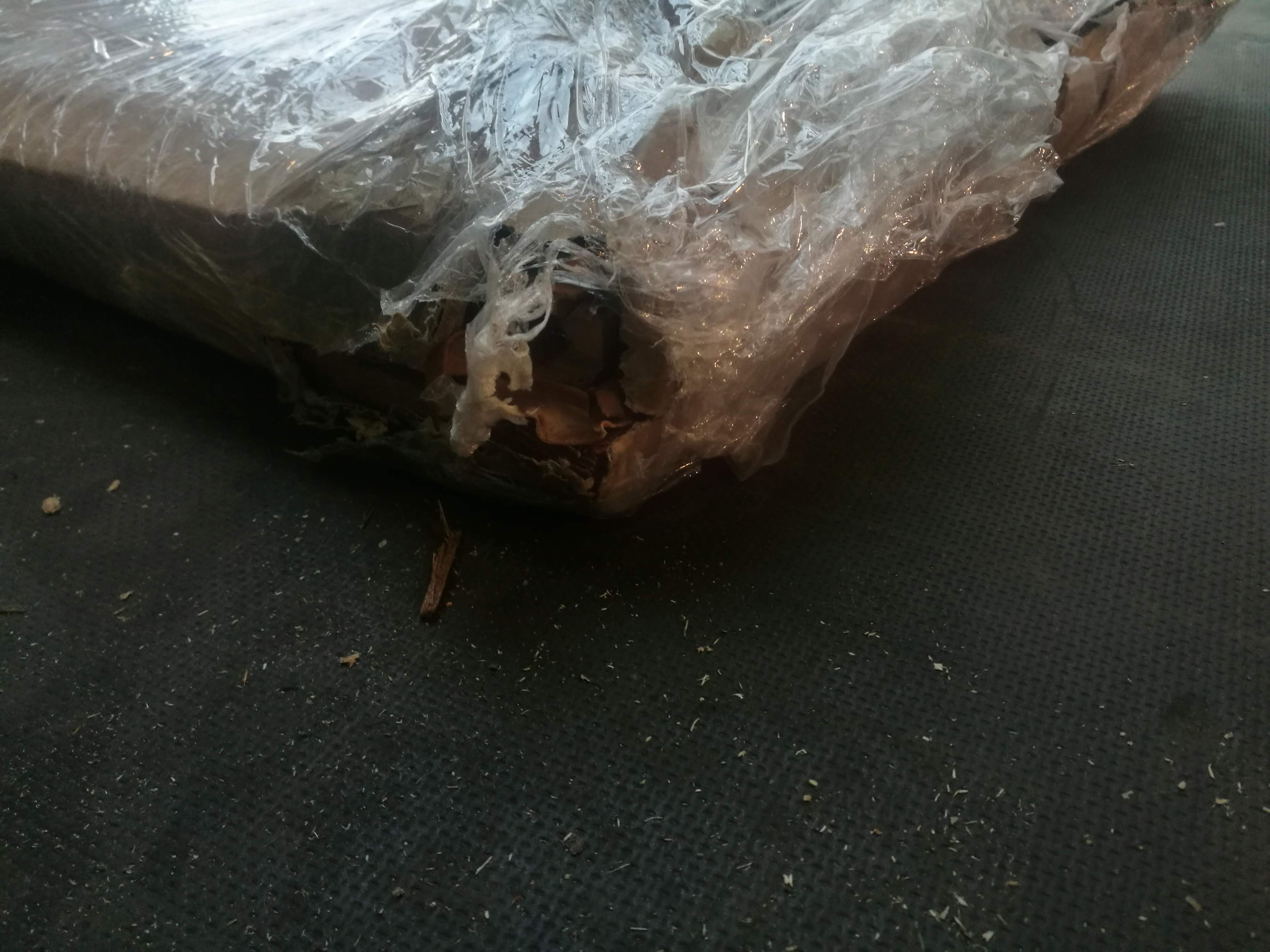 Photo n° 6 de l'avis de Ivan.o fait le 20/06/2019 à 06:14