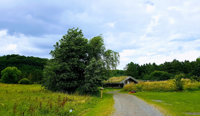 Broby Kanoudlejning på Susåen - Sorø