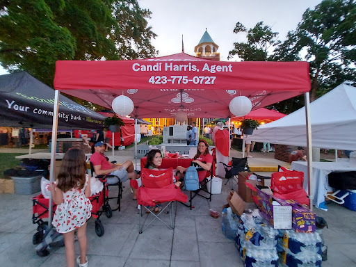 Museum «The Scopes Trial Museum And Rhea County Courthouse», reviews and photos, 1475 Market St #301, Dayton, TN 37321, USA