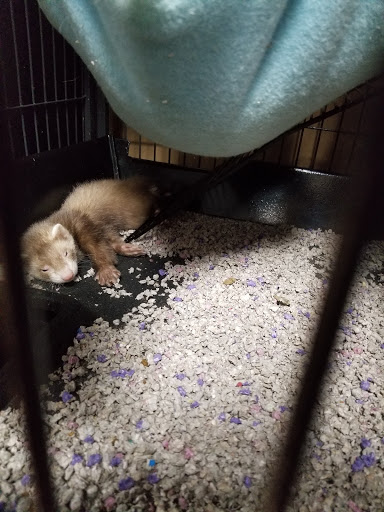 Pet Supply Store «Pet Valu», reviews and photos, 200 Biggs Blvd, Harrison, OH 45030, USA