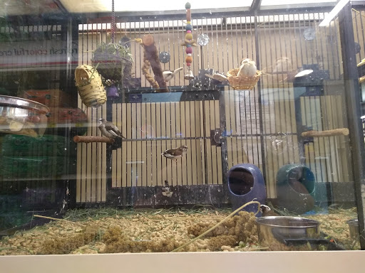 Pet Supply Store «PetSmart», reviews and photos, 9122 Mentor Ave, Mentor, OH 44060, USA