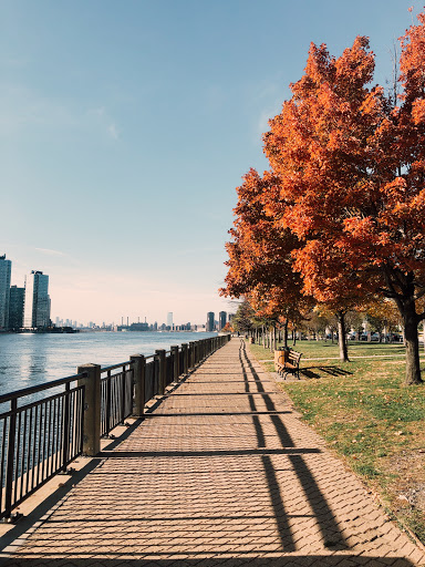 Park «Franklin D. Roosevelt Four Freedoms Park», reviews and photos