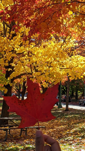 Park «Langford Park», reviews and photos, 30 Langford Park, St Paul, MN 55108, USA