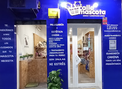 CalleMascota - Servicios para mascota en Valencia