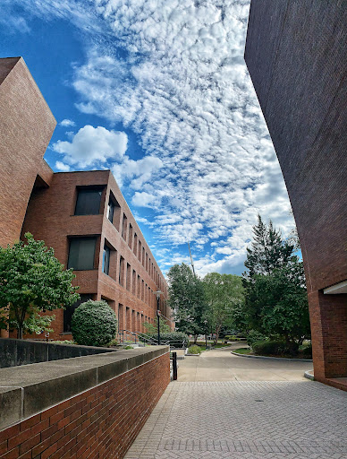 University «Rochester Institute of Technology», reviews and photos