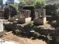 The Yard Guy - Photo 6 - Car repair in , Vallejo