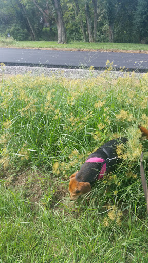 Park «Florence Nature Park», reviews and photos, 7200 Parkview Dr, Florence, KY 41042, USA