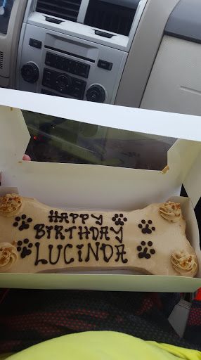 Pet Store «Three Dog Bakery», reviews and photos, 6323 Delmar Blvd, University City, MO 63130, USA