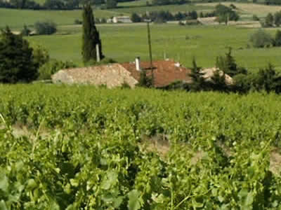 Domaine de La Cantharide à Visan