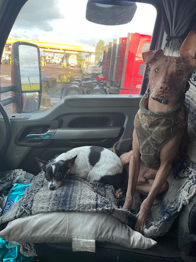 Electrician «Northside Electric», reviews and photos, 2920 22nd St SE, Salem, OR 97302, USA