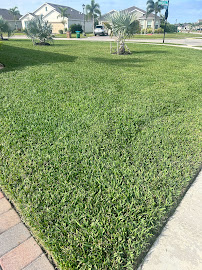 CXPEST Solutions - Photo 3 - Car repair in , Cape Coral