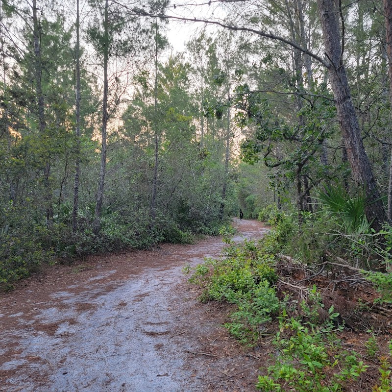 Lake Lizzie Nature Preserve