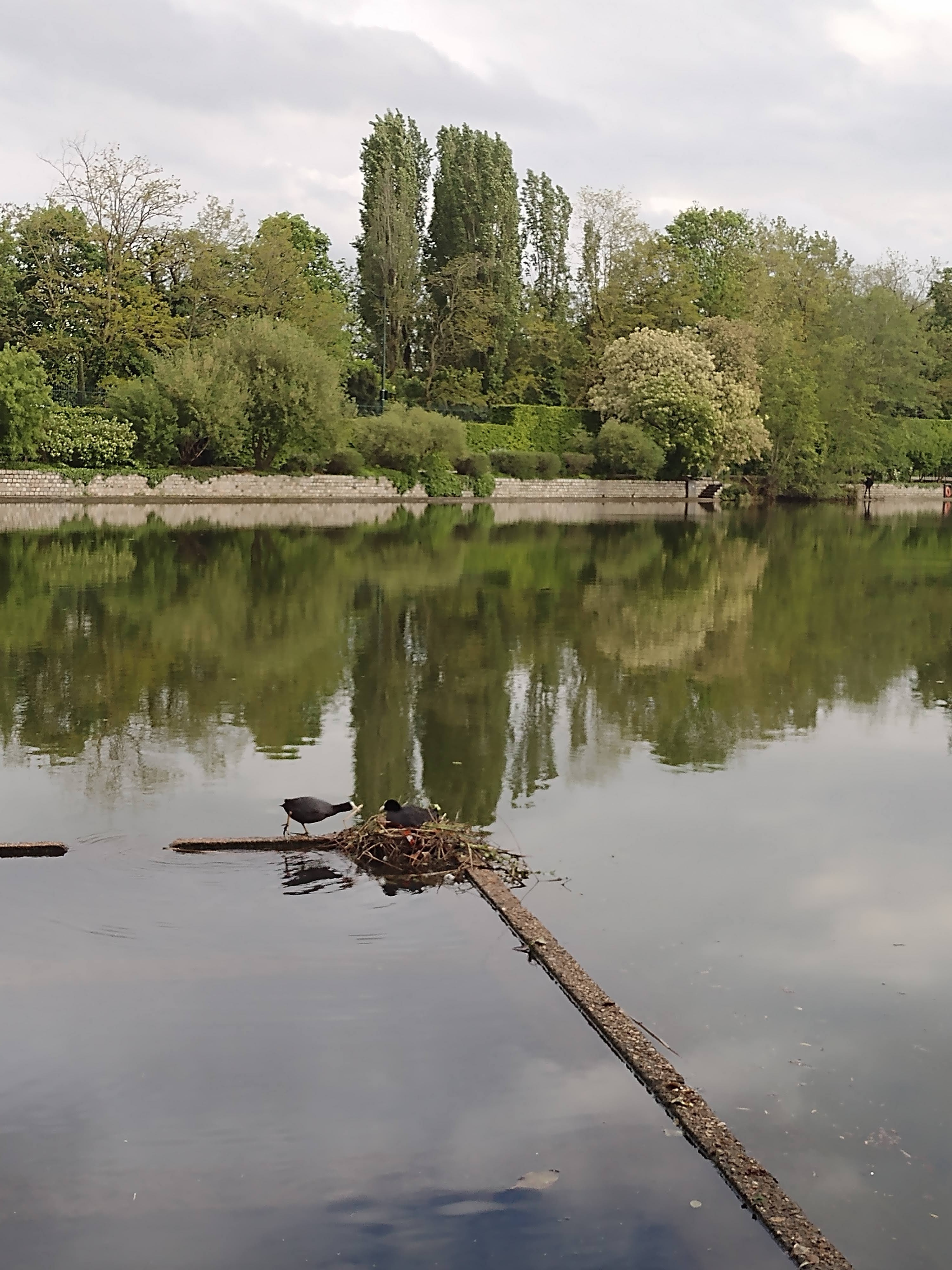 Photo n° 4 de l'avis de Thierry.I fait le 08/12/2021 à 15:26