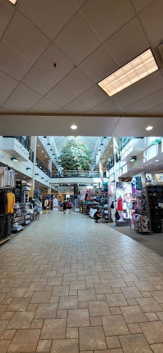 Sporting Goods Store «SCHEELS», reviews and photos, 101 Jordan Creek Pkwy #4000, West Des Moines, IA 50266, USA