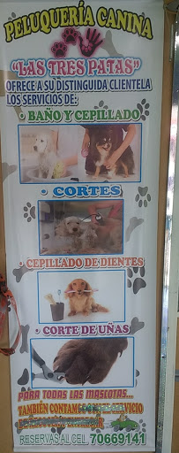 Peluqueria Canina