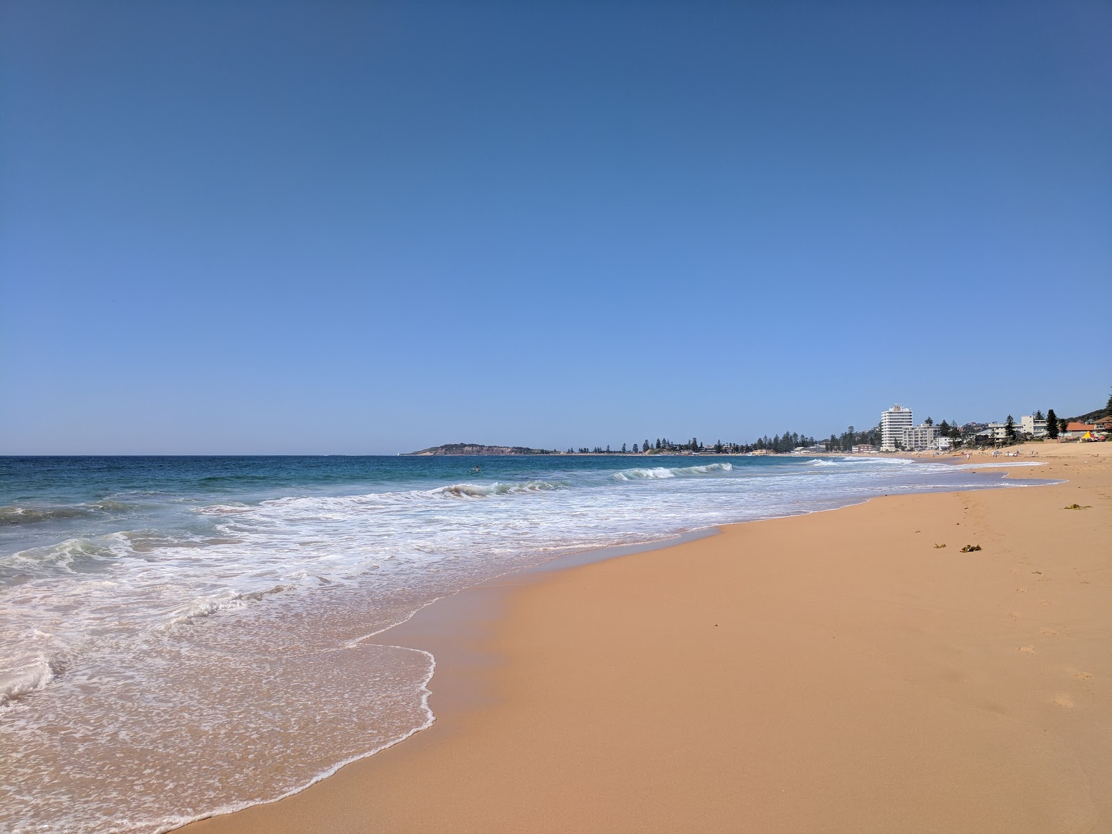 Foto van Narrabeen Beach met helder zand oppervlakte