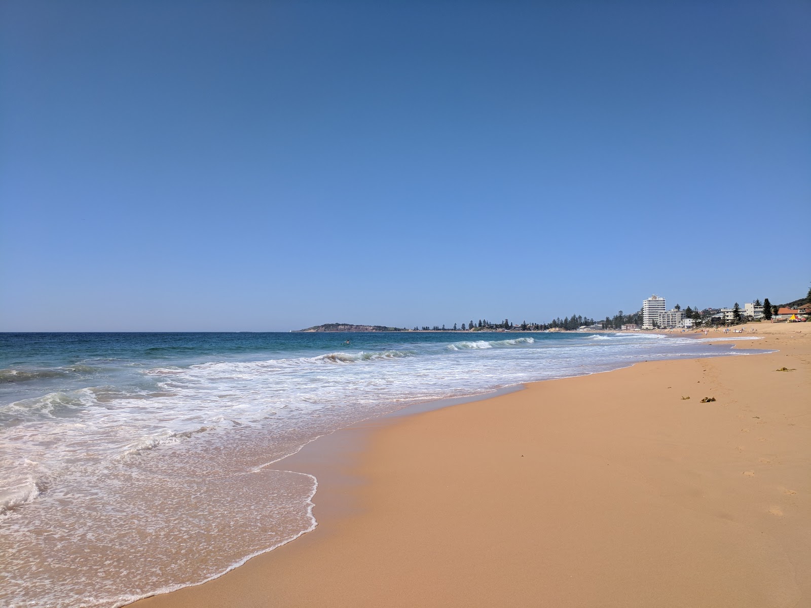 Foto av Narrabeen Beach med beige sand yta