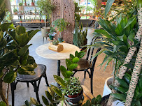 Terracotta - Photo 5 - Car repair in Boulder, CO, Boulder