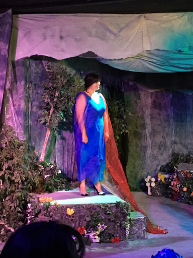 Performing Arts Theater «Children & Adults Theatrical Studio», reviews and photos, 2257 34th St, Lubbock, TX 79411, USA