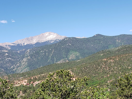 Insurance Agency «Allianz Global Assistance USA», reviews and photos