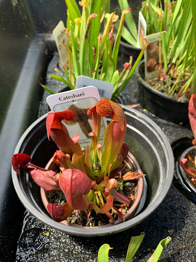 Pond Fish Supplier «The Funky Koi. Pet, Pond, Water Garden, Equine and Farm Supplies», reviews and photos, 41 Porter St, Berkley, MA 02779, USA