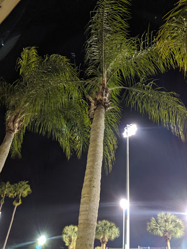 Sports Complex «Historic Dodgertown - Vero Beach», reviews and photos, 3901 26th St, Vero Beach, FL 32960, USA