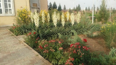 Photos of ایستگاه راه آهن زواره