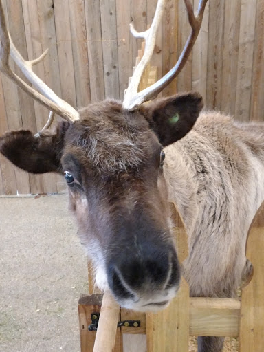 Winery «Grape Vine Springs Winery», reviews and photos, 409 S Main St, Grapevine, TX 76051, USA