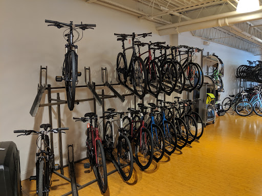 Bicycle Store «Trek Bicycle Store Cincinnati», reviews and photos, 9695 Kenwood Rd, Cincinnati, OH 45242, USA