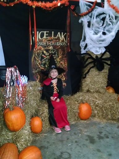 Motorcycle Dealer «Rice Lake Harley-Davidson», reviews and photos, 2801 S Wisconsin Ave, Rice Lake, WI 54868, USA