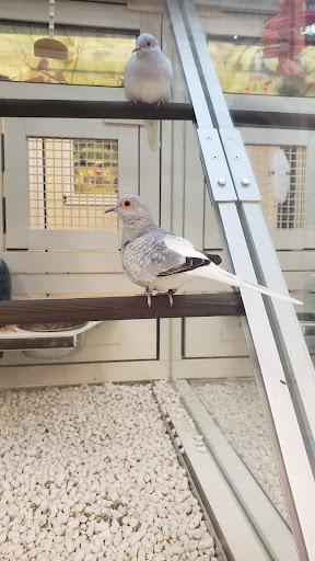 Pet Supply Store «PetSmart», reviews and photos, 19075 Interstate 45 S, Shenandoah, TX 77385, USA