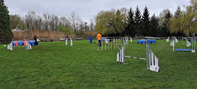 Training Club Canin de Thionville à Thionville