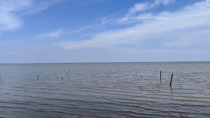 Photo n°34 de Mazet du Vaccares à Arles ()