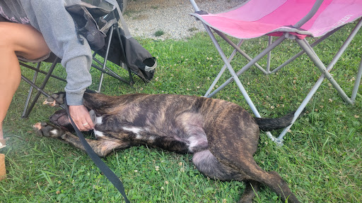 Pet Supply Store «PetSmart», reviews and photos, 3370 Shoppers Dr, McHenry, IL 60050, USA