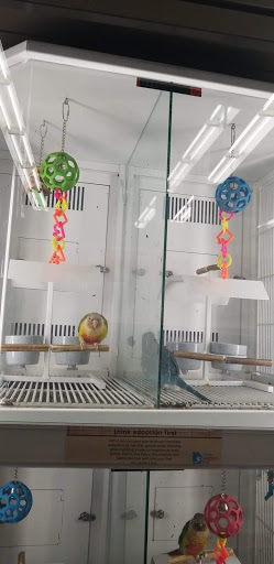 Pet Supply Store «Petco Animal Supplies», reviews and photos, 8966 S Broadway Ave #112, Tyler, TX 75703, USA