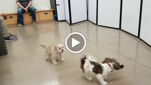 Pet Supply Store «Petco Animal Supplies», reviews and photos, 3194 FM407, Highland Village, TX 75077, USA