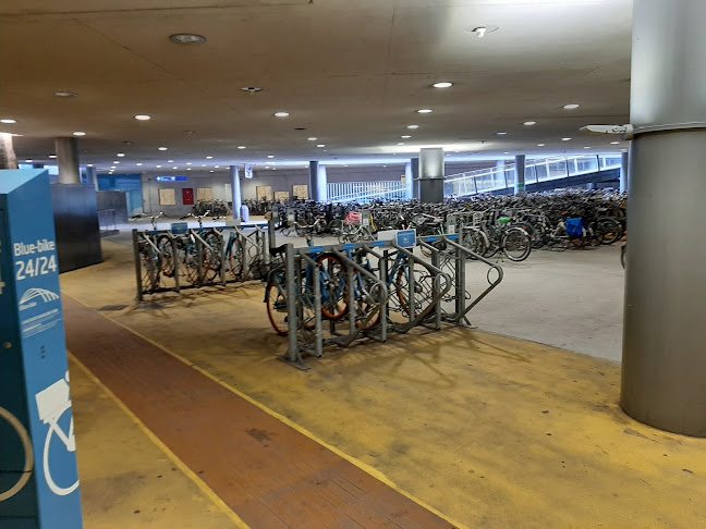 Beoordelingen van Blue-bike Antwerpen-Centraal in Antwerpen - Fietsenwinkel