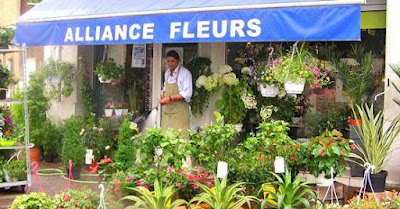 Alliance Fleurs à Castelnau-de-Médoc