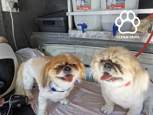 Clean Paws - Professional Mobile Pet Grooming