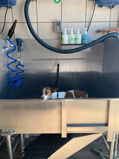 Pet Supply Store «Pet Supplies Plus», reviews and photos, 1031 Northwest Hwy, Garland, TX 75041, USA