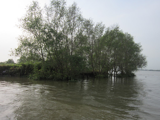 Top 13 cửa hàng kim giáp Huyện Trà Ôn Vĩnh Long 2022