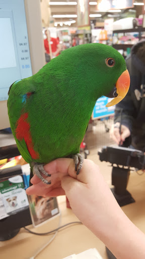 Pet Supply Store «Petco Animal Supplies», reviews and photos, 891 NE D St, Grants Pass, OR 97526, USA