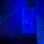 Photo n° 14 de l'avis de Julien.a fait le 20/10/2023 à 19:16 pour Les Cathédrales de la Saulaie à Doué-la-Fontaine