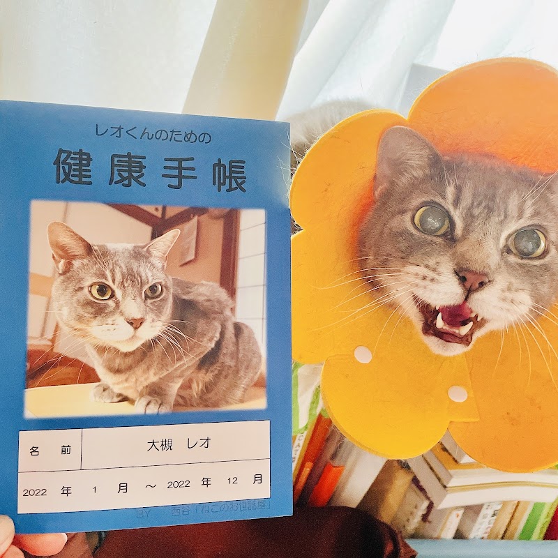 西谷｢ねこのお世話屋｣