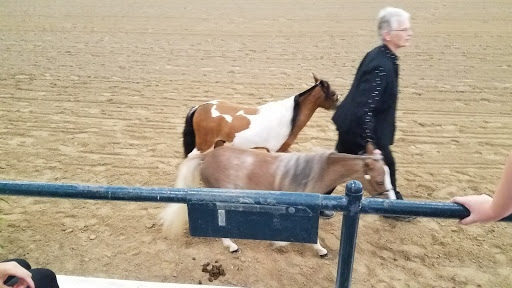 Tourist Attraction «Kentucky Horse Park», reviews and photos, 4089 Iron Works Pkwy, Lexington, KY 40511, USA