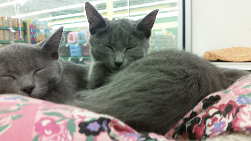 Pet Supply Store «Pet Supplies Plus», reviews and photos, 311 Sagamore Pkwy N, Lafayette, IN 47904, USA