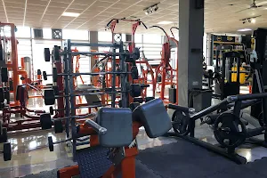 Hammer gym قاعة همر image