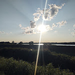 Photo n°4 de l'avis de Tommaso.r fait le 01/08/2023 à 19:04 sur le  Agriturismo Massari à Conselice