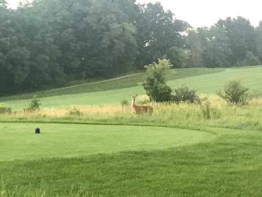 Golf Club «Quail Ridge Golf Club», reviews and photos, 8375 36th St SE, Ada, MI 49301, USA
